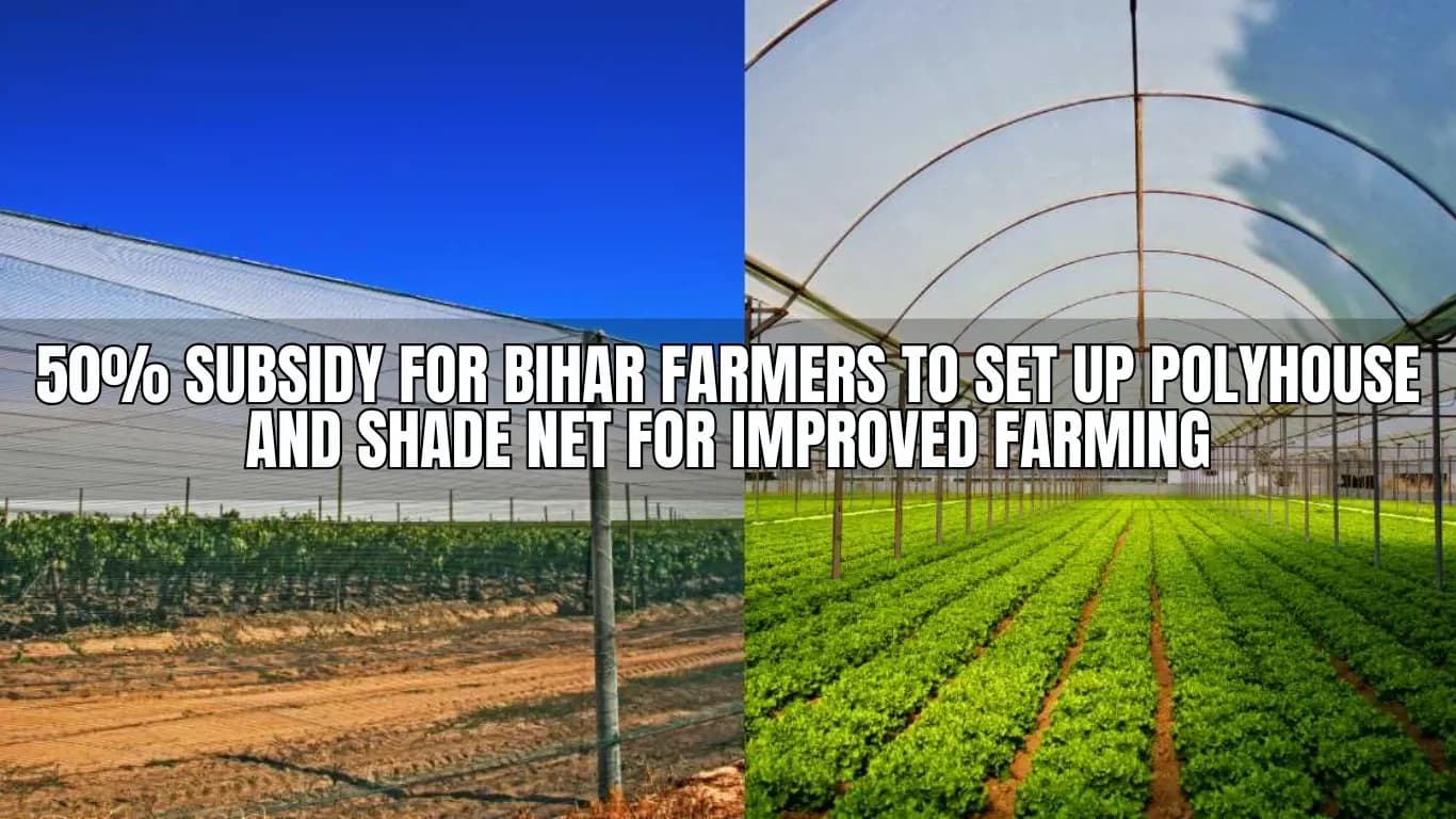 50% Subsidy for Bihar Farmers to Set Up Polyhouse and Shade Net for Improved Farming