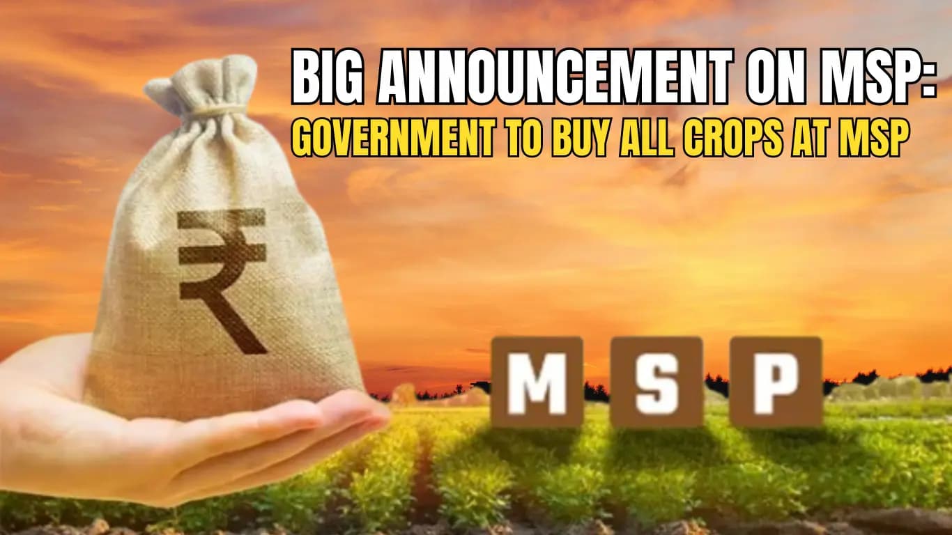 Big Announcement on Minimum Support Price: Government to Buy All Crops at MSP
