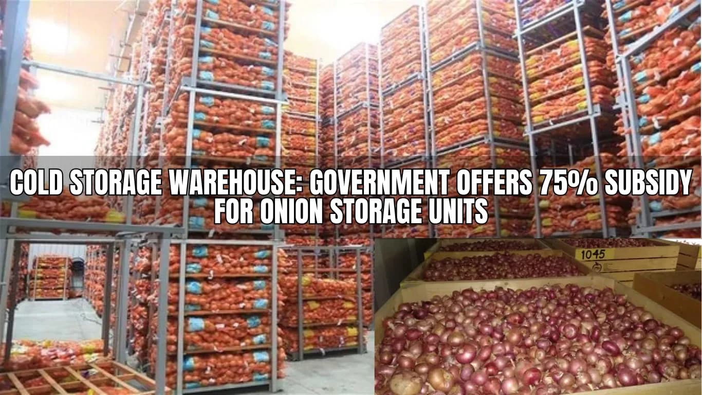 Cold Storage Warehouse: Bihar Government Offers 75% Subsidy for Onion Storage Units