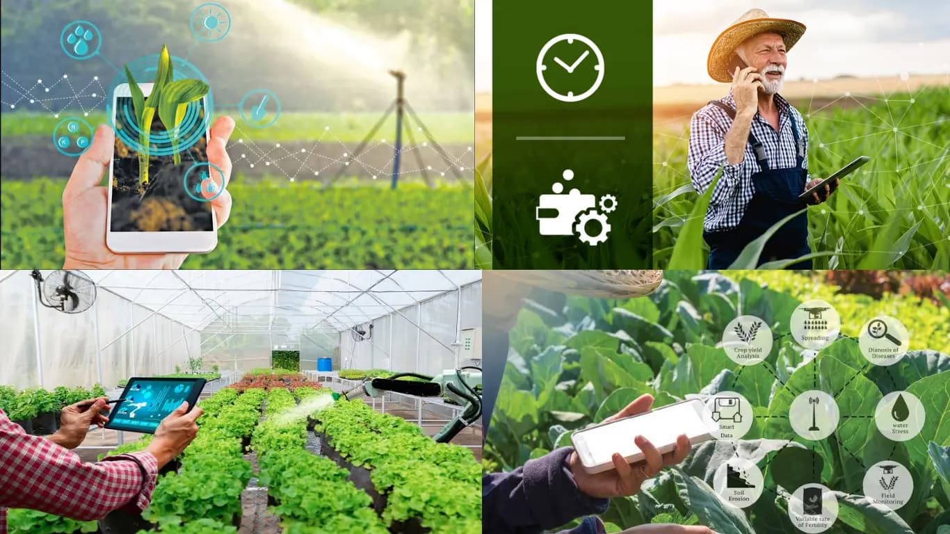 Digital Agriculture