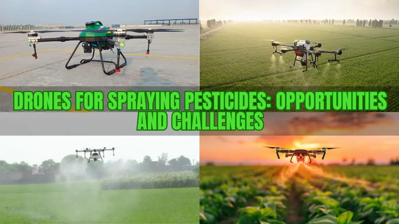Drones - Spraying Pesticides Drones - Spraying Pesticides