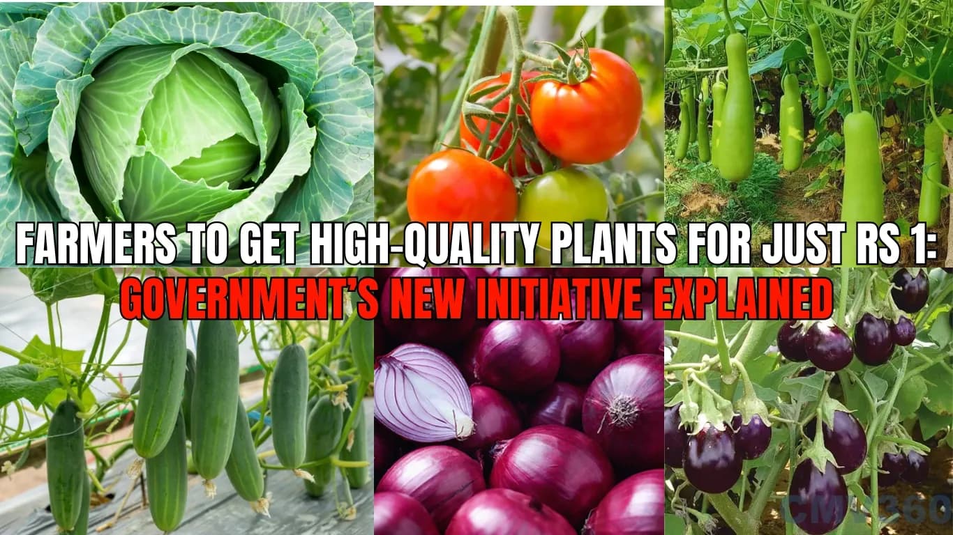 Farmers to Get High-Quality Plants for Just Rs 1: Government’s New Initiative Explained