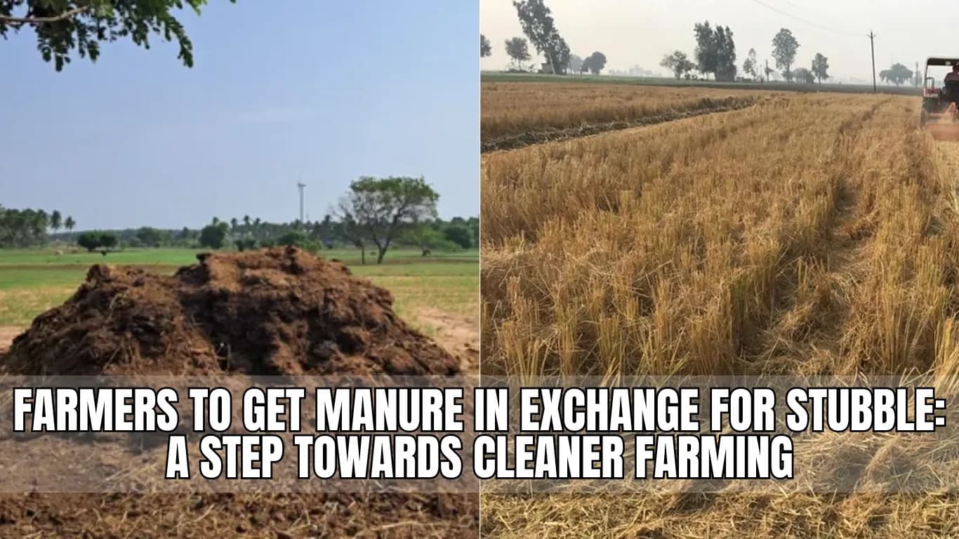 Farmers to Get Manure in Exchange for Stubble: A Step Towards Cleaner Farming