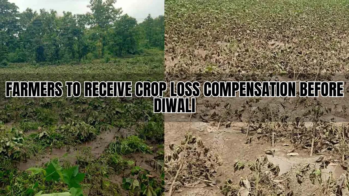 Farmers to Receive Crop Loss Compensation Before Diwali