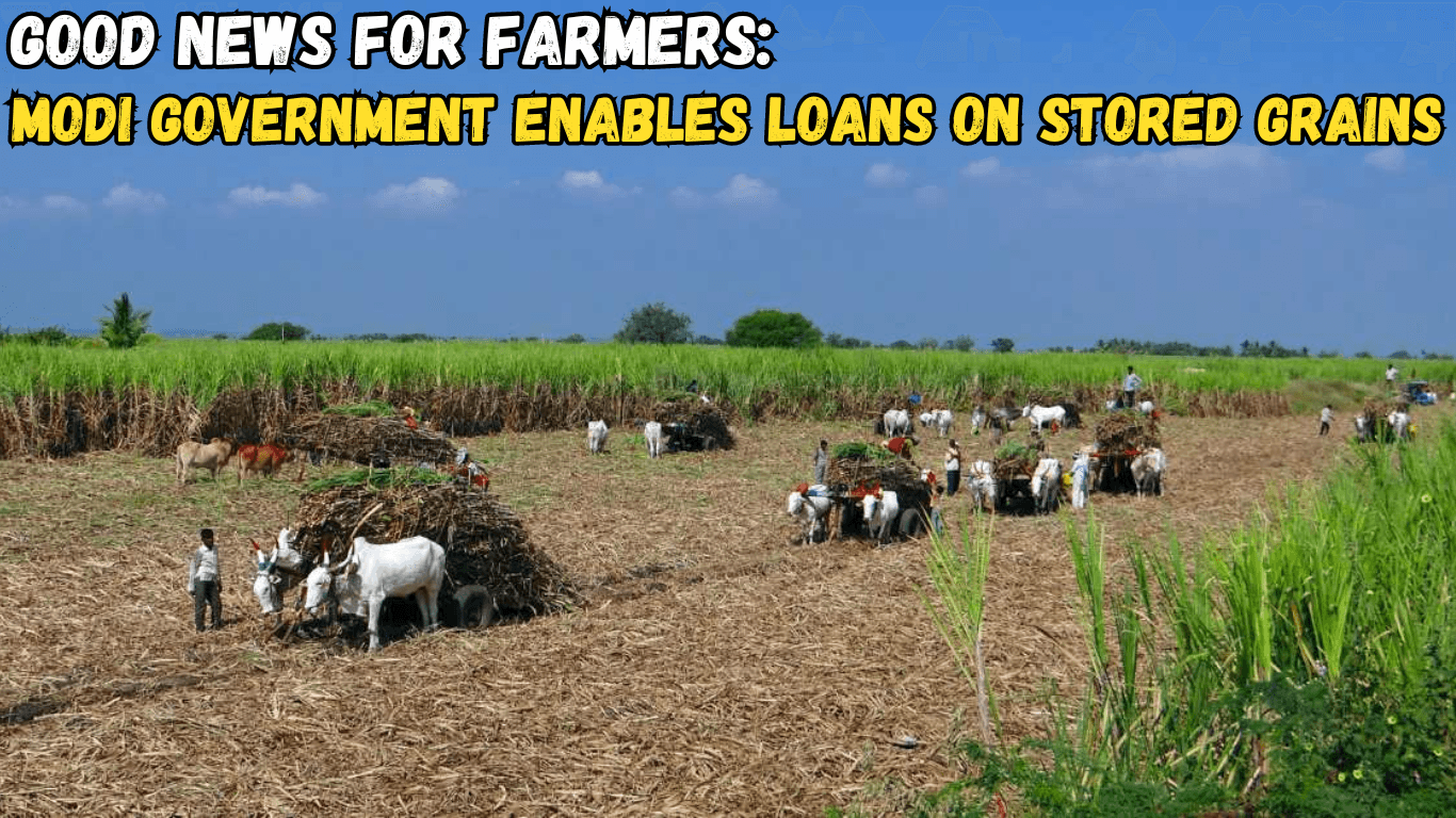 Good News for Farmers: Modi Government Enables Loans on Stored Grains