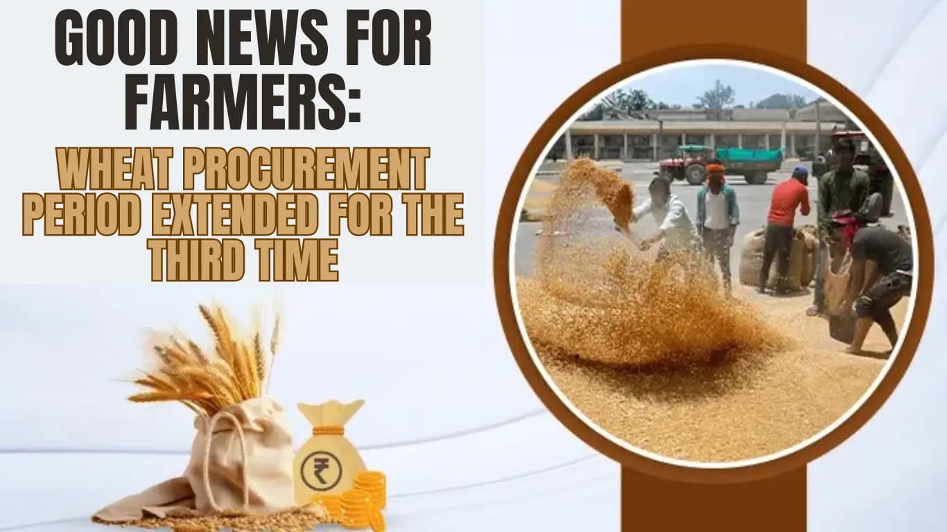 Good News for Farmers: Wheat Procurement Period Extended for the Third Time