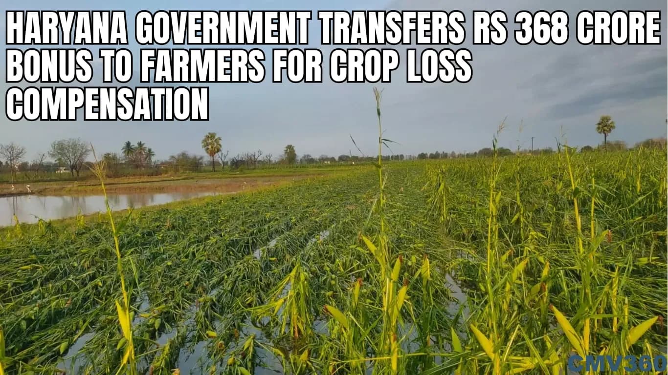 Haryana Government Transfers Rs 368 Crore Bonus to Farmers for Crop Loss Compensation