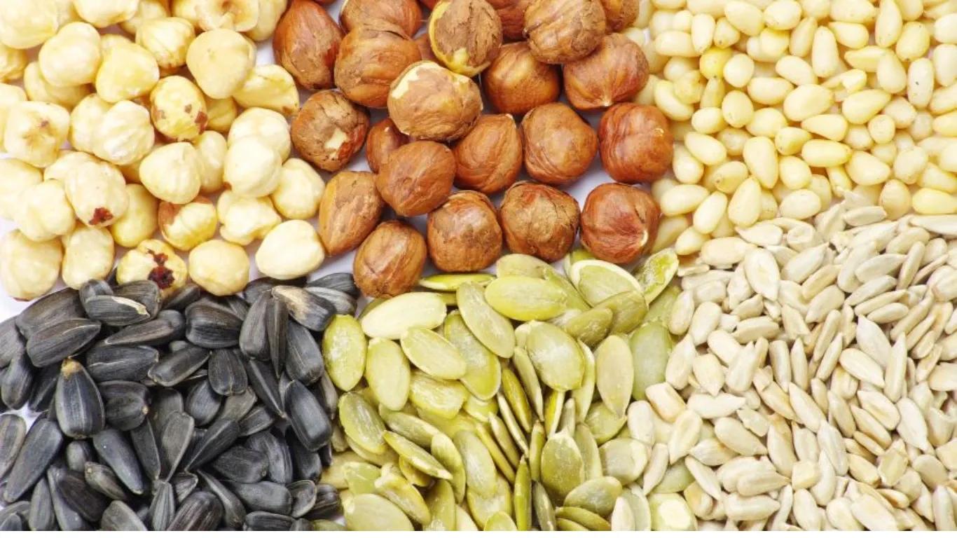 ICAR Launches 7 New High-Yielding Varieties of Soybean, Groundnut, Safflower, and Sesame ICAR Launches 7 New High-Yielding Varieties of Soybean, Groundnut, Safflower, and Sesame