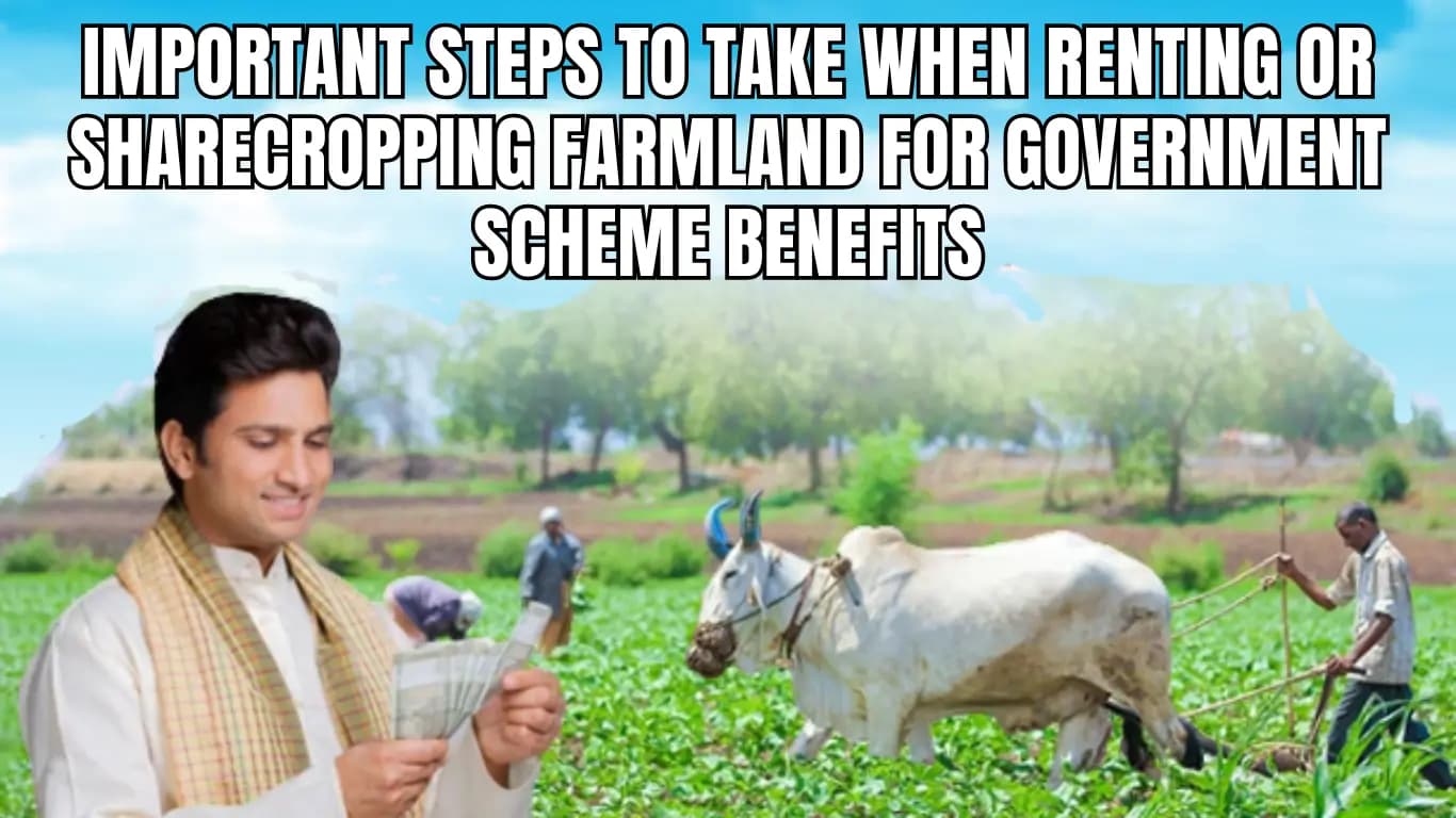 Imp Steps for Renting or Sharecropping Farmland to Secure Gov Benefits
