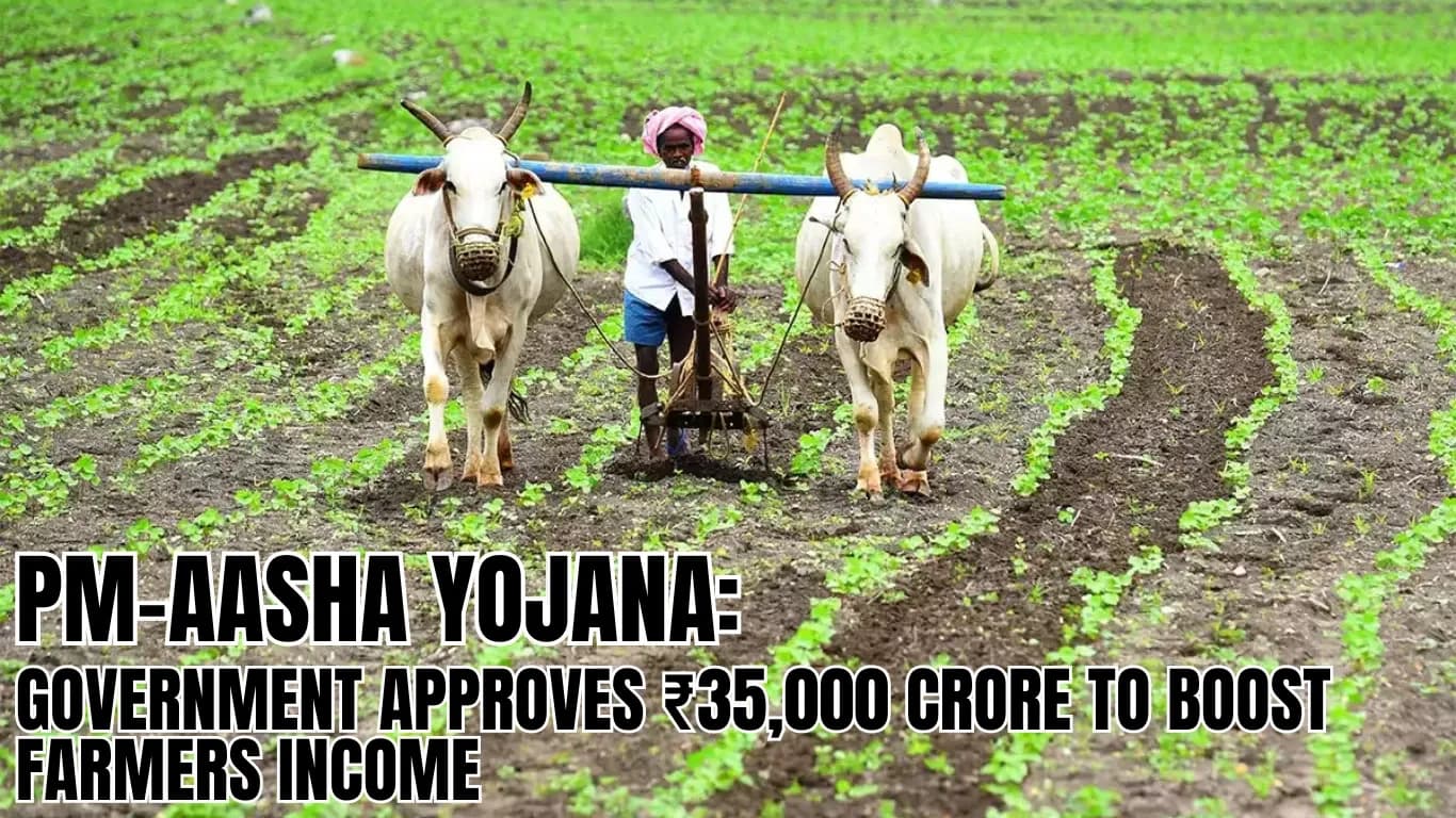 PM-Aasha Yojana: Government Approves ₹35,000 Crore to Boost Farmers Income