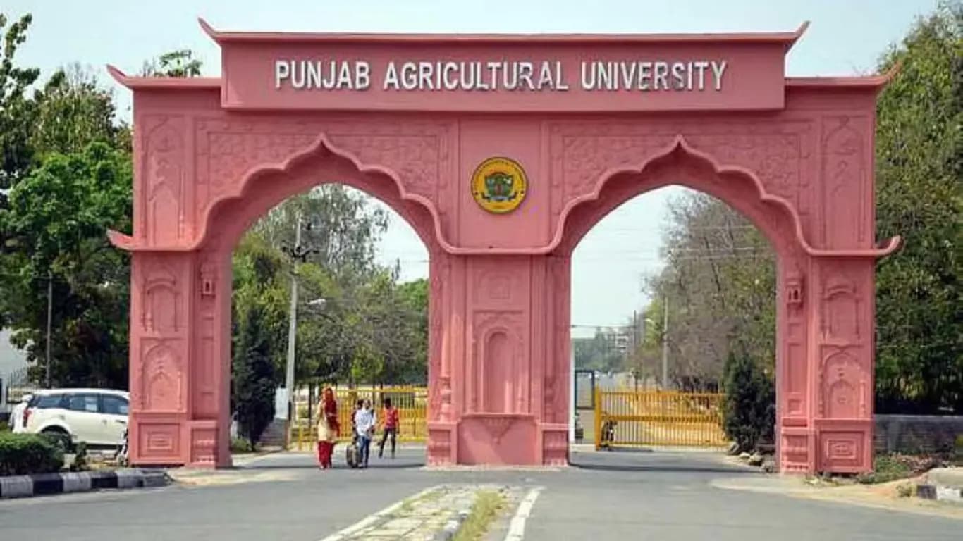 Punjab Agricultural University Ensures Abundance of Quality Seeds for Farmer’s Kharif Season