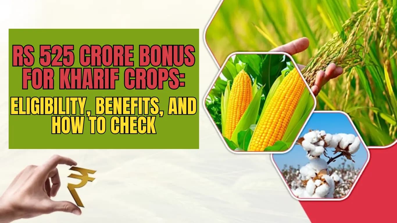 Rs 525 Crore Bonus for Kharif Crops: Eligibility, Benefits, and How to Check