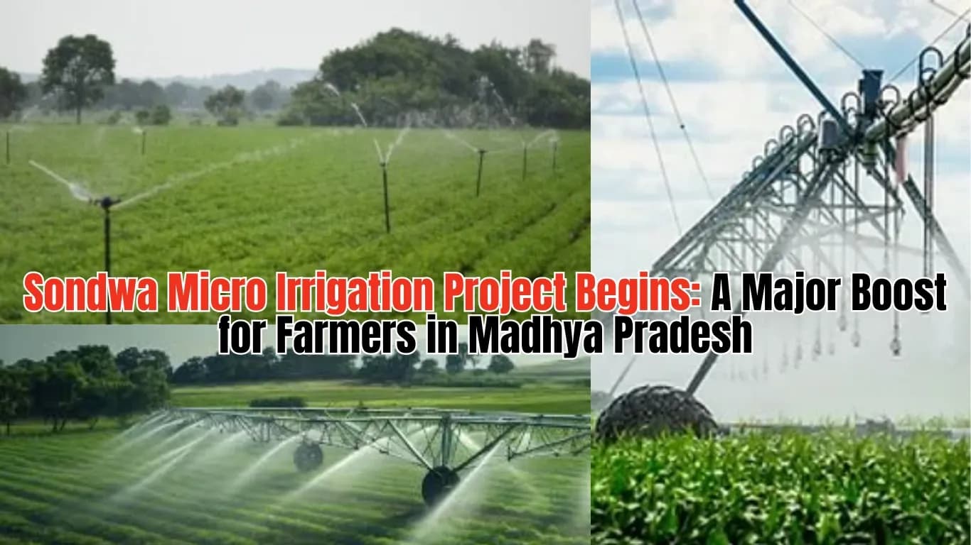Sondwa Micro Irrigation Project Begins: A Major Boost for Farmers in Madhya Pradesh
