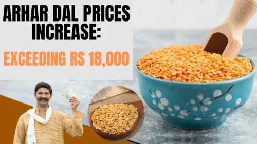 ஆர்ஹர் பால் விலை அதிகரிப்பு: ரூ. 18,000 தாண்டியது ஆர்ஹர் பால் விலை அதிகரிப்பு: ரூ. 18,000 தாண்டியது