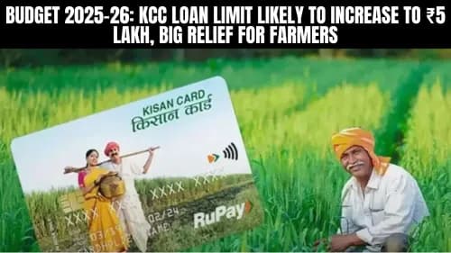 பட்ஜெட் 2025-26: KCC கடன் வரம்பு ₹ 5 லட்சமாக அதிகரிக்க வாய்ப்புள்ளது, விவசாயிகளுக்கு பெரிய நிவாரணம் பட்ஜெட் 2025-26: KCC கடன் வரம்பு ₹ 5 லட்சமாக அதிகரிக்க வாய்ப்புள்ளது, விவசாயிகளுக்கு பெரிய நிவாரணம்