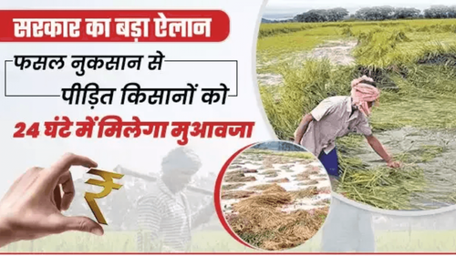 மழை, மழை, மின்னல் ஆகியவற்றால் பாதிக்கப்பட்ட விவசாயிகளுக்கு இழப்பீடு வழங்கிய மழை, மழை, மின்னல் ஆகியவற்றால் பாதிக்கப்பட்ட விவசாயிகளுக்கு இழப்பீடு வழங்கிய