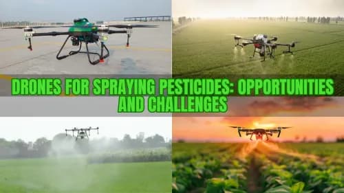 Drones for Spraying Pesticides: Opportunities and Challenges Drones for Spraying Pesticides: Opportunities and Challenges