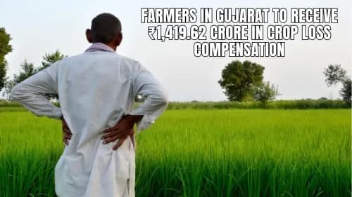 குஜராத்தின் விவசாயிகள் பயிர் இழப்பு இழப்பீட்டில் ₹ 1,419.62 கோடி பெறுவார்கள் குஜராத்தின் விவசாயிகள் பயிர் இழப்பு இழப்பீட்டில் ₹ 1,419.62 கோடி பெறுவார்கள்