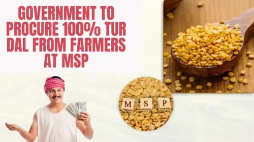 எம்எஸ்பியில் விவசாயிகளிடமிருந்து 100% தூர் தாளை வாங்கும் அரசாங்கம் எம்எஸ்பியில் விவசாயிகளிடமிருந்து 100% தூர் தாளை வாங்கும் அரசாங்கம்
