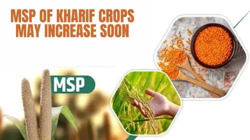 காரிஃப் பயிர்களின் எஸ்பி விரைவில் அதிகரிக்கக்கூடும் காரிஃப் பயிர்களின் எஸ்பி விரைவில் அதிகரிக்கக்கூடும்
