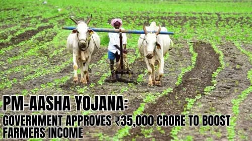பிஎம்-ஆஷா யோஜனா: விவசாயிகளின் வருமானத்தை அதிகரிக்க 35,000 கோடி ரூபாய் அரசு ஒப்புதல் PM-Aasha Yojana: Government Approves ₹35,000 Crore to Boost Farmers Income