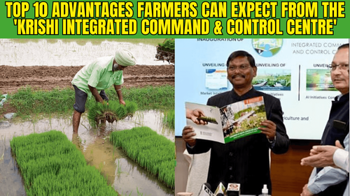 கிருஷி ஒருங்கிணைந்த கட்டளை மற்றும் கட்டுப்பாட்டு மையத்திலிருந்து விவசாயிகள் எதிர்பார்க்கக்கூடிய முதல் 10 நன்மைகள் கிருஷி ஒருங்கிணைந்த கட்டளை மற்றும் கட்டுப்பாட்டு மையத்திலிருந்து விவசாயிகள் எதிர்பார்க்கக்கூடிய முதல் 10 நன்மைகள்