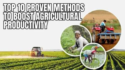 Top 10 Proven Methods to Boost Agricultural Productivity Top 10 Proven Methods to Boost Agricultural Productivity