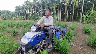 CODE KTK Shiggaon Mulberry Farmer 1 CODE KTK Shiggaon Mulberry Farmer 1