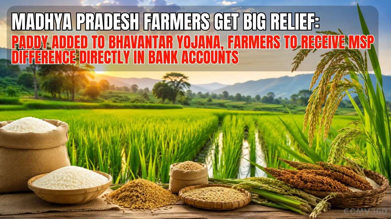 Madhya Pradesh Farmers Get Big Relief: Paddy Added to Bhavantar Yojana, Farmers to Receive MSP Difference Directly in Bank Accounts Madhya Pradesh Farmers Get Big Relief: Paddy Added to Bhavantar Yojana, Farmers to Receive MSP Difference Directly in Bank Accounts