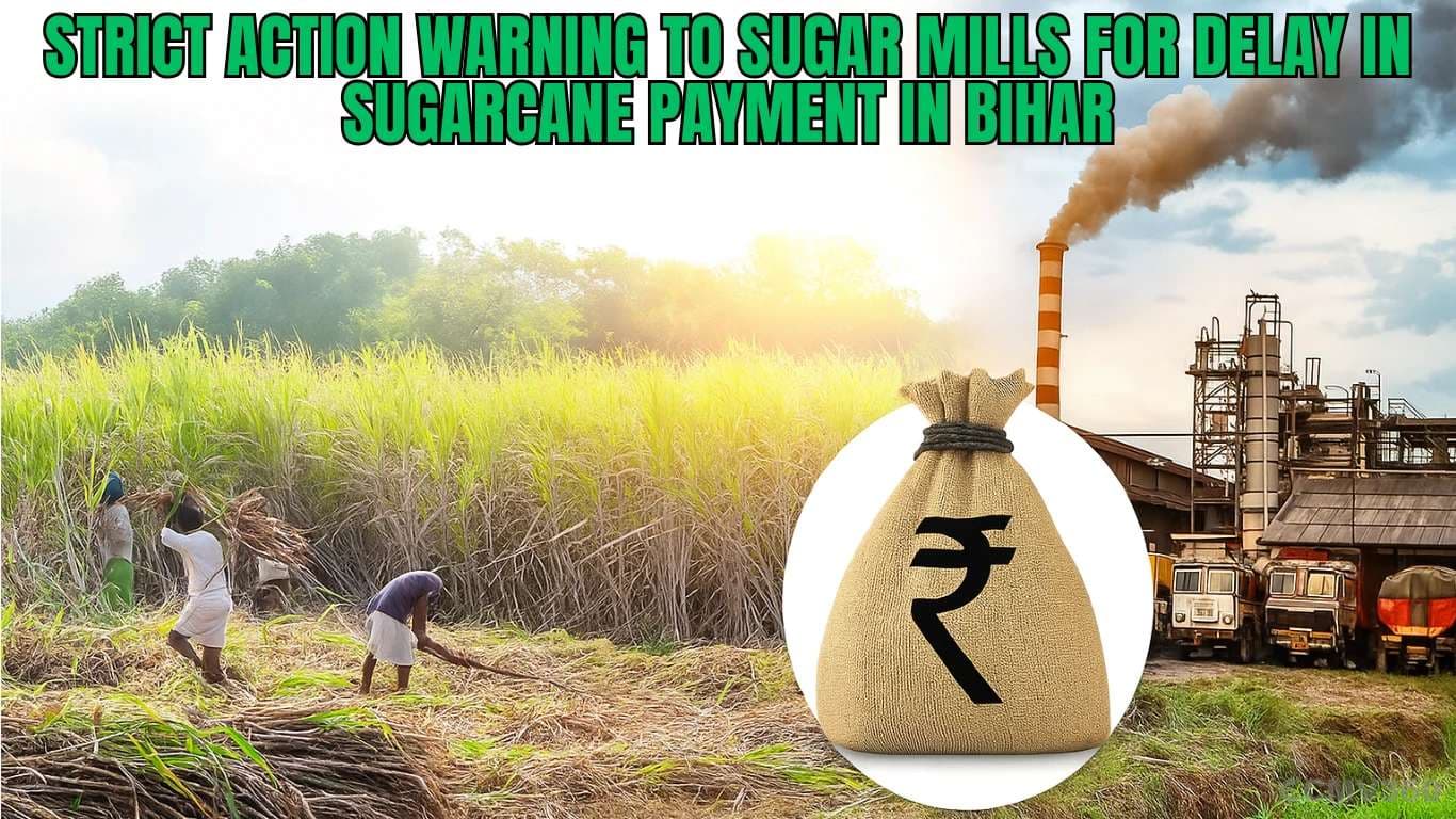 Strict Action Warning to Sugar Mills for Delay in Sugarcane Payment in Bihar Strict Action Warning to Sugar Mills for Delay in Sugarcane Payment in Bihar.webp