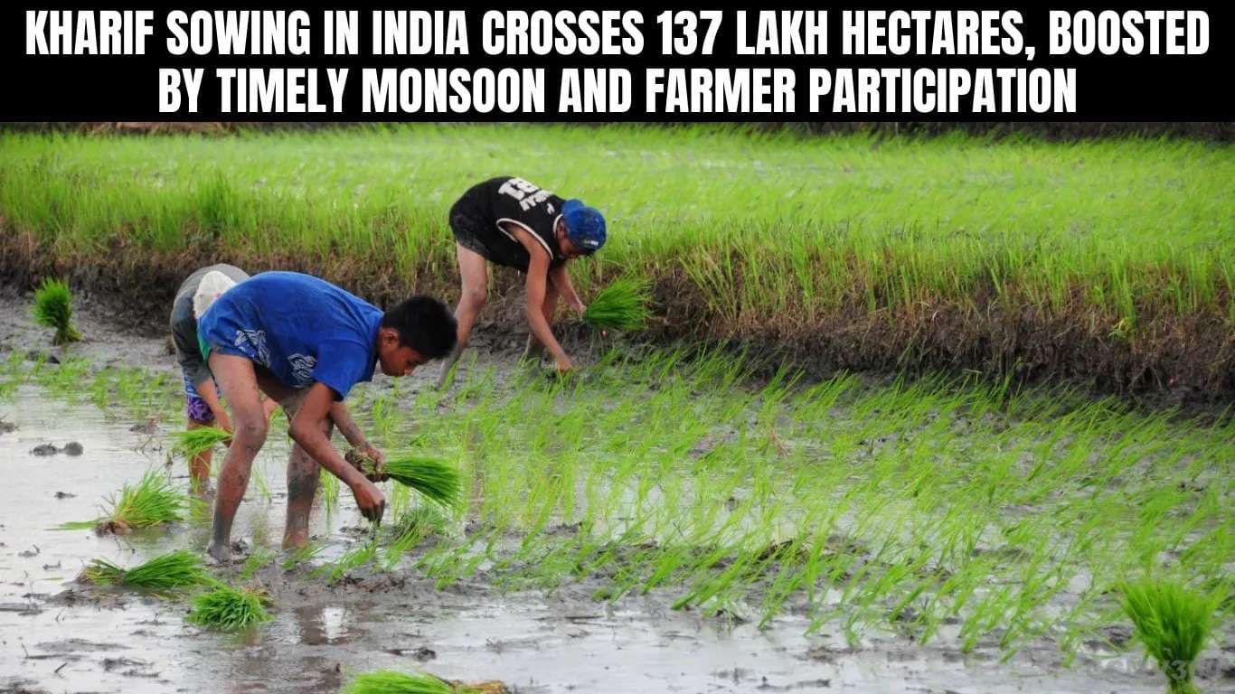 Kharif Sowing in India Crosses 137 Lakh Hectares, Boosted by Timely Monsoon and Farmer Participation Kharif Sowing in India Crosses 137 Lakh Hectares, Boosted by Timely Monsoon and Farmer Participation.webp
