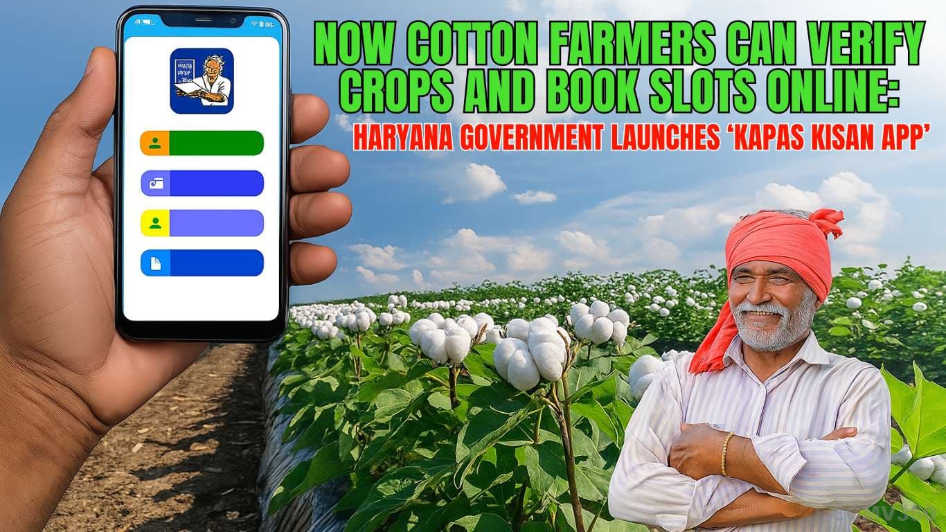 Now Cotton Farmers Can Verify Crops and Book Slots Online: Haryana Government Launches ‘Kapas Kisan App’ Now Cotton Farmers Can Verify Crops and Book Slots Online.png