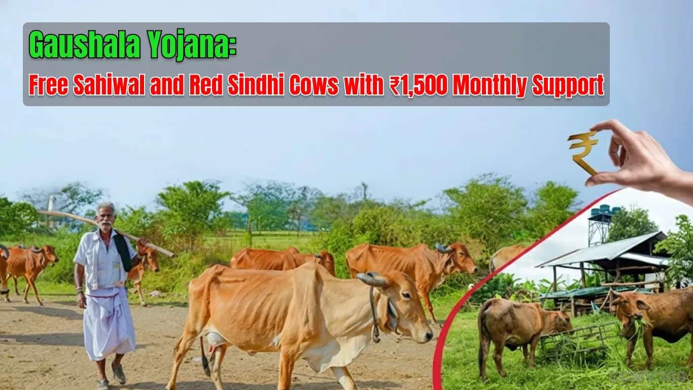 Gaushala Yojana: Free Sahiwal and Red Sindhi Cows with ₹1,500 Monthly Support Gaushala Yojana: Free Cows with ₹1,500 Monthly Support