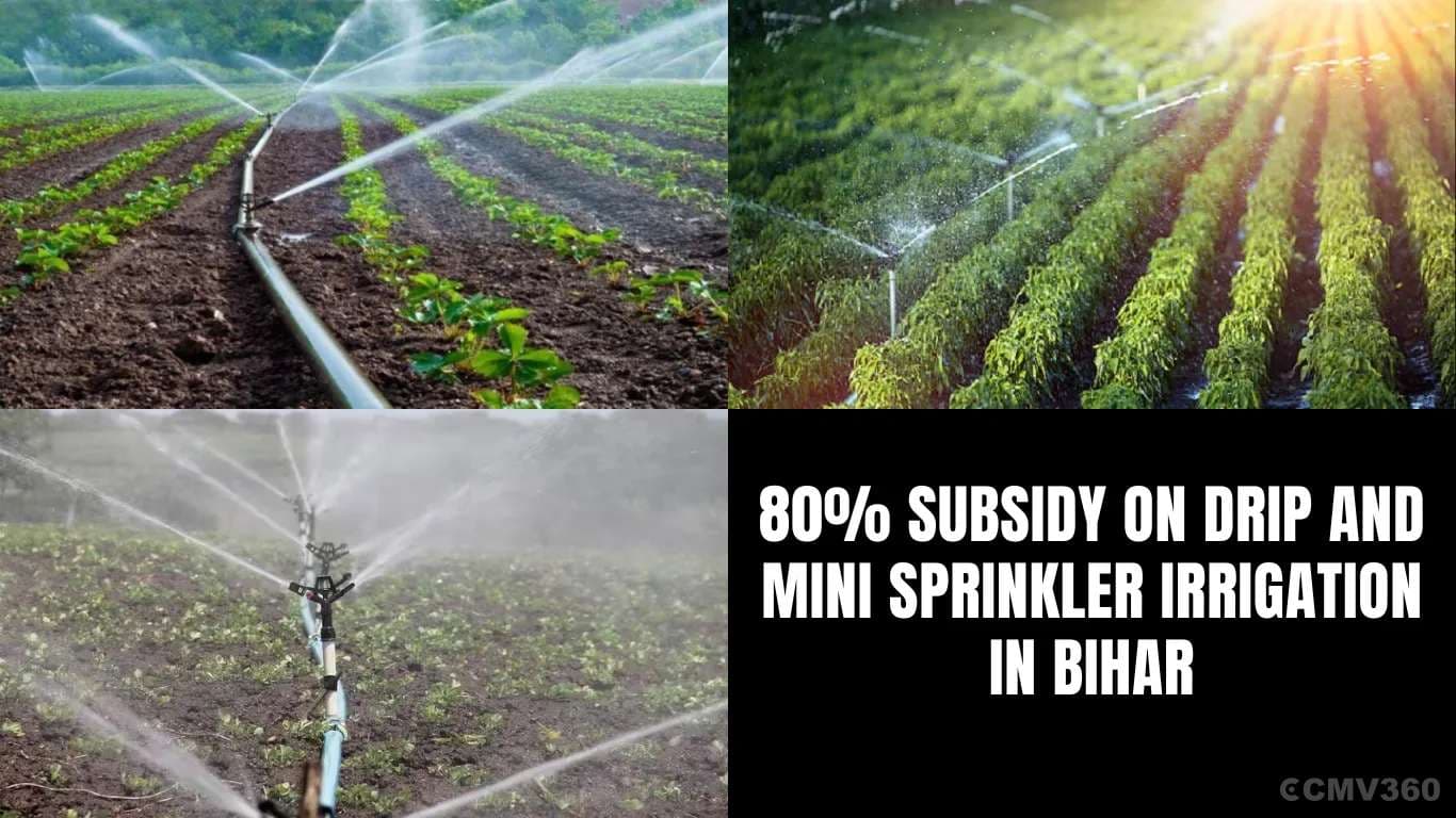 பீகாரில் சொட்டு மற்றும் மினி ஸ்பிரிங்க்ளர் பாசனத்திற்கு 80% மானியம் 80% Subsidy on Drip and Mini Sprinkler Irrigation in Bihar.webp