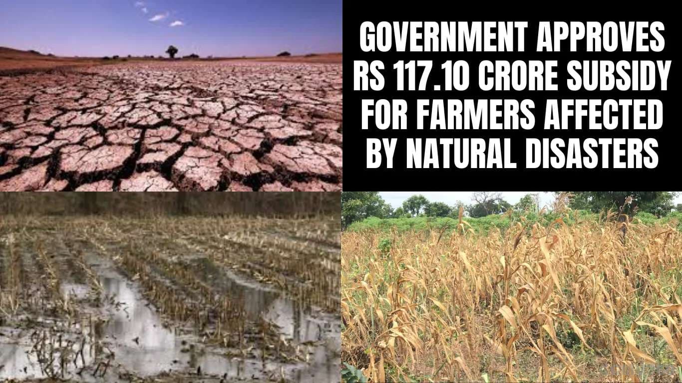 இயற்கை பேரழிவுகளால் பாதிக்கப்பட்ட விவசாயிகளுக்கு 117.10 கோடி மானியத்தை அரசாங்கம் Government Approves Rs 117.10 Crore Subsidy for Farmers Affected by Natural Disasters.webp