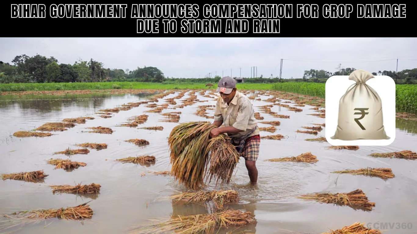 புயல் மற்றும் மழை காரணமாக பயிர் சேதங்களுக்கு பீகார் அரசு இழப்பீடு Bihar Government Announces Compensation for Crop Damage Due to Storm and Rain.webp