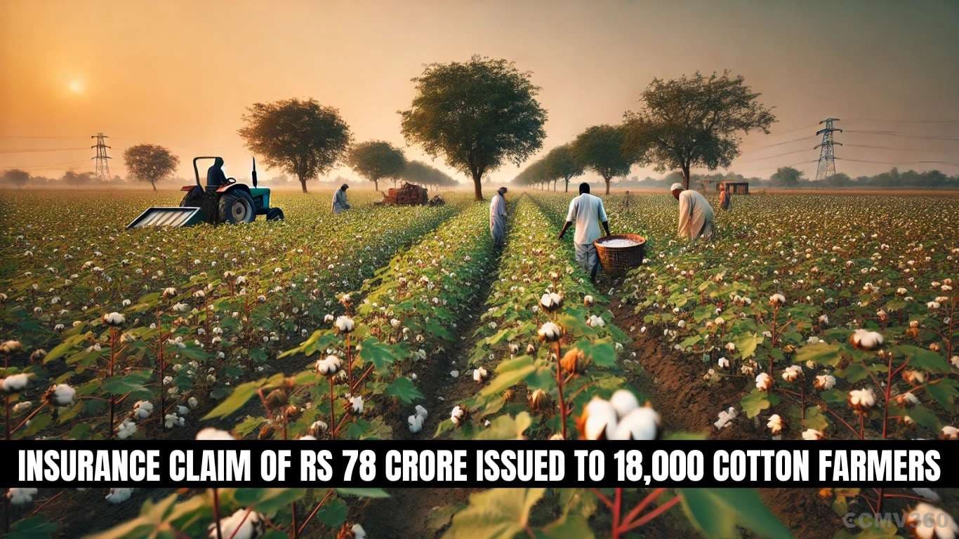 18,000 பருத்தி விவசாயிகளுக்கு 78 கோடி ரூபாய் காப்பீட்டு உரிமை வழங்கப்பட்டது Insurance Claim of Rs 78 Crore Issued to 18,000 Cotton Farmers.webp