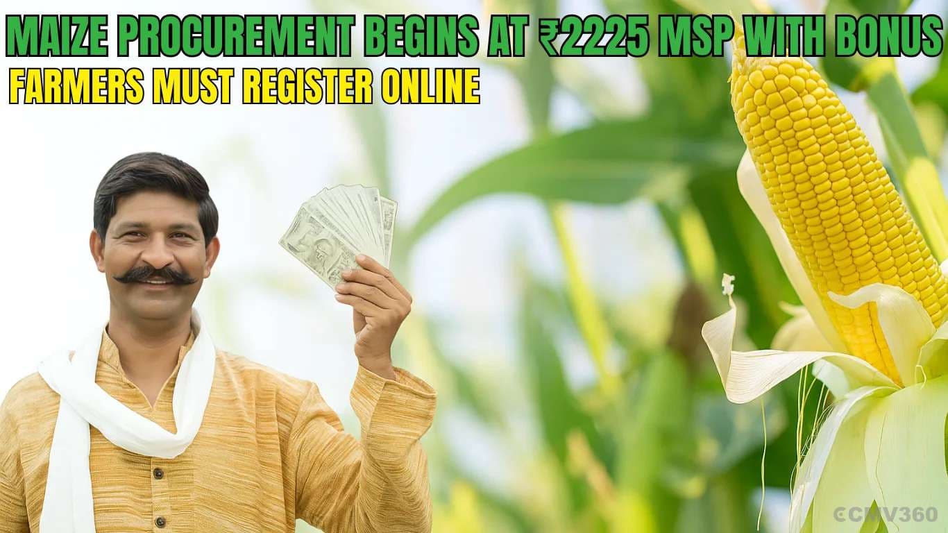 Maize Procurement Begins at ₹2225 MSP with Bonus – Farmers Must Register Online Maize Procurement Begins at â¹2225 MSP with Bonus â Farmers Must Register Online.webp