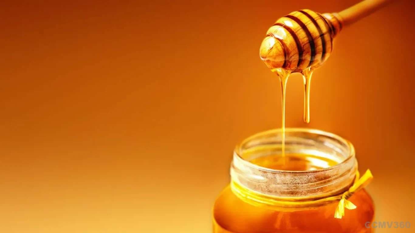 Honey Import MIP Extended Till December 2026 by the Govt Honey Import MIP Extended Till December 2026 by the Govt