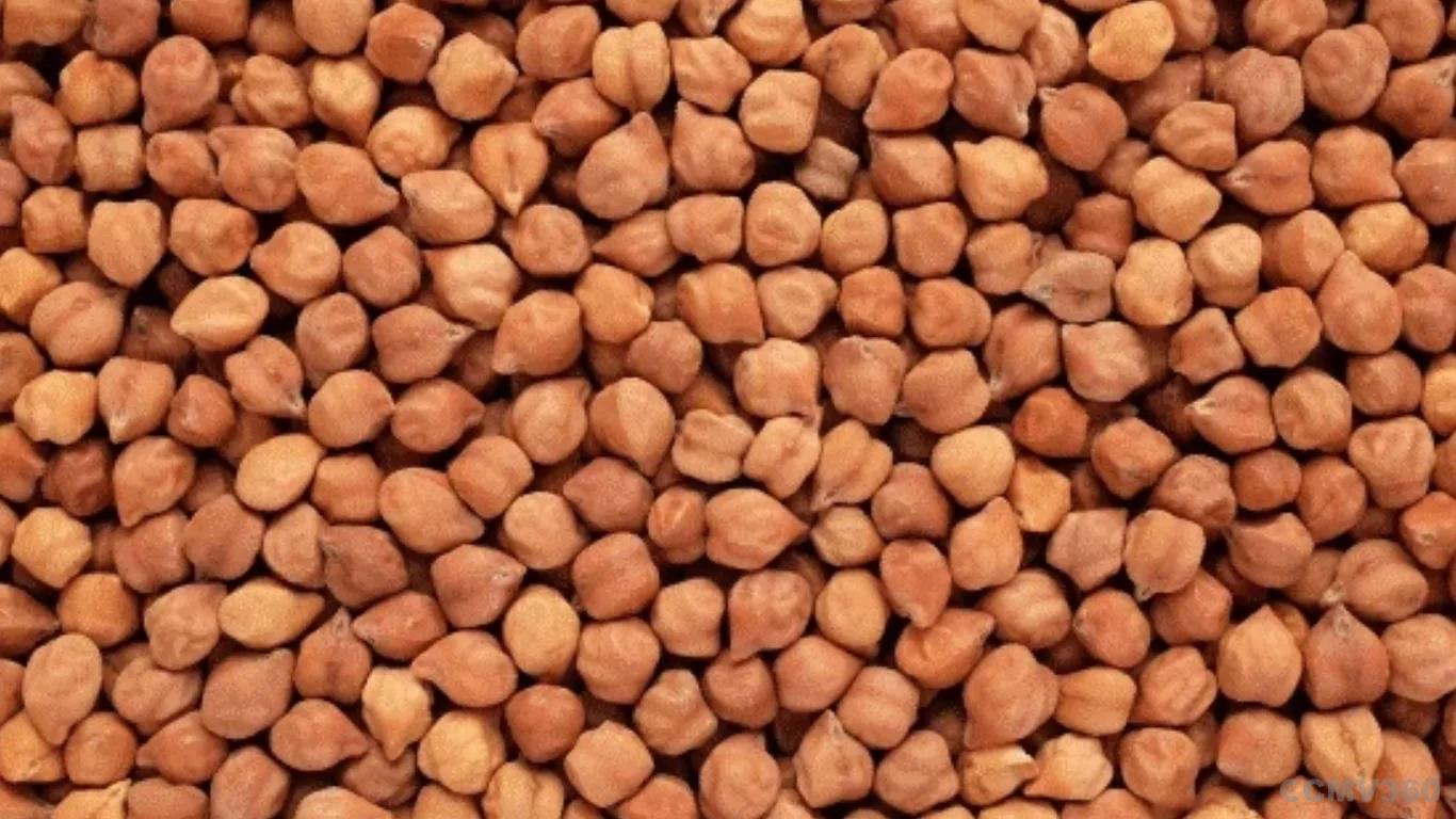 Gram (Chana) Gram (Chana)