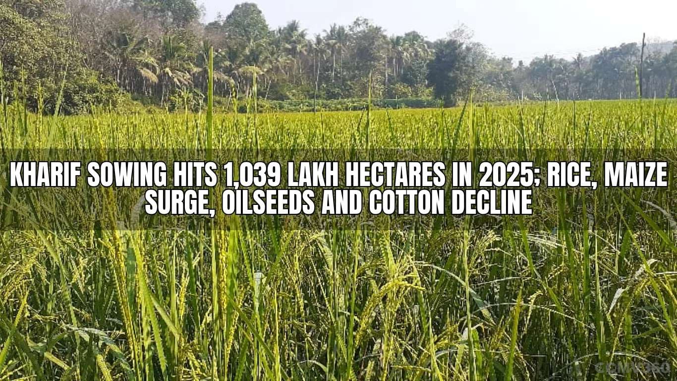Kharif Sowing Hits 1,039 Lakh Hectares in 2025; Rice, Maize Surge, Oilseeds and Cotton Decline Kharif Sowing Hits 1,039 Lakh Hectares in 2025.webp