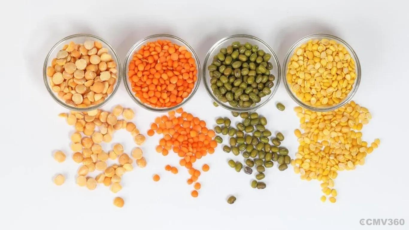 Lentil (Masur) Lentil (Masur)
