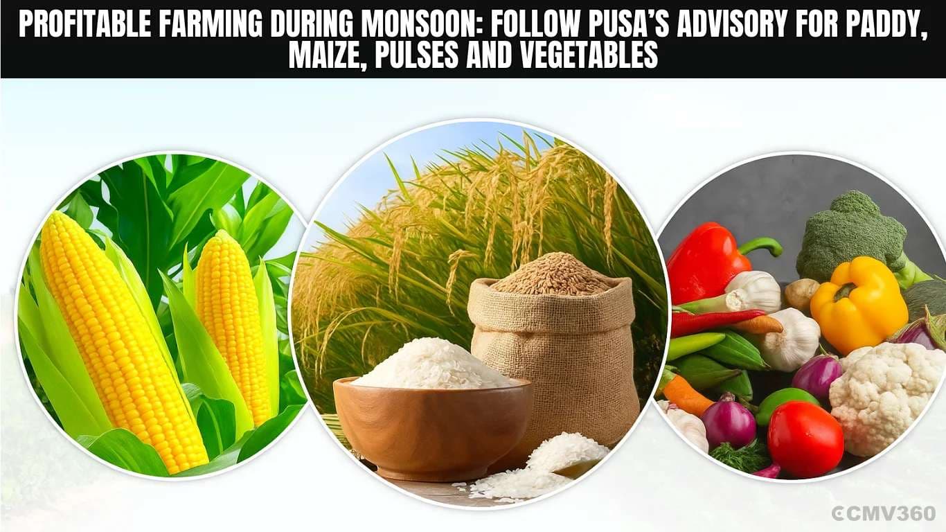 Profitable Farming During Monsoon.webp Profitable Farming During Monsoon.webp