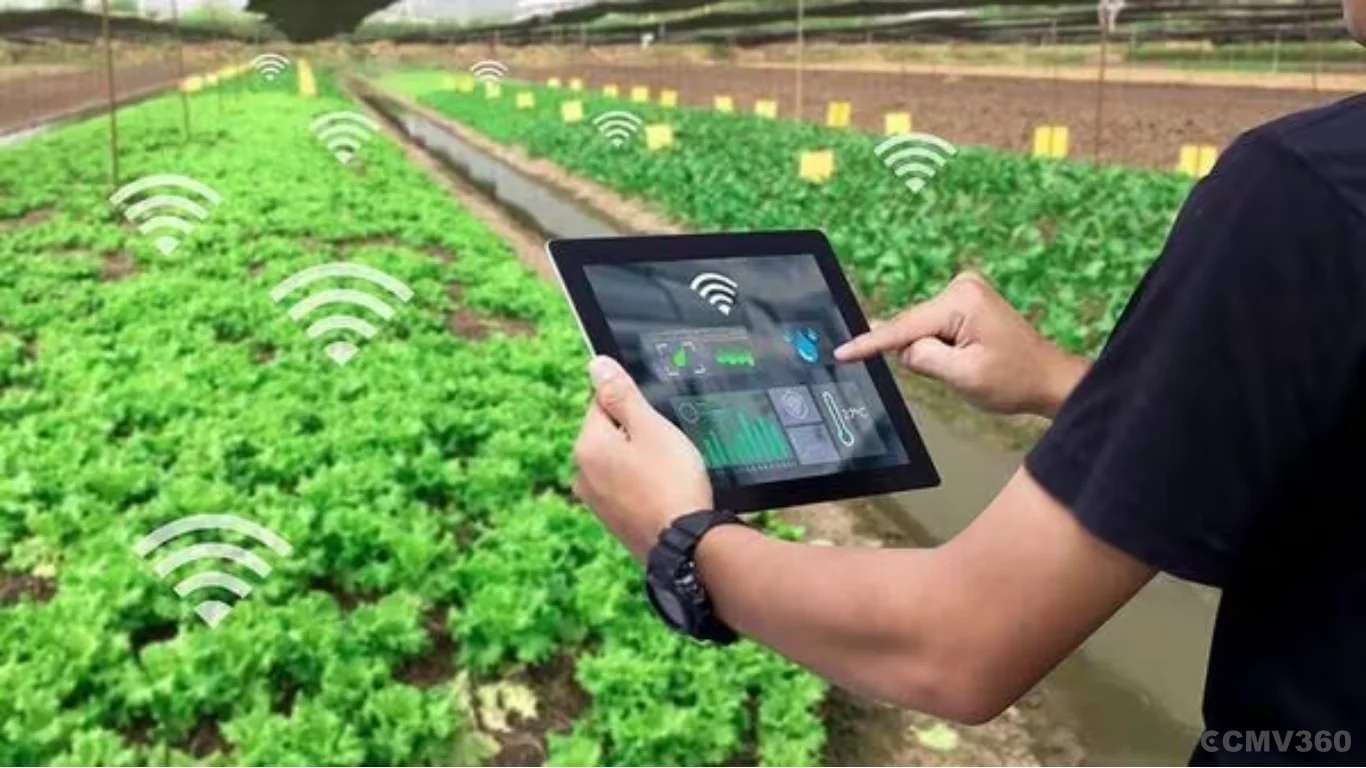 AI Integration Accelerates Inclusive Growth in Indian Agriculture AI Integration Accelerates Inclusive Growth in Indian Agriculture