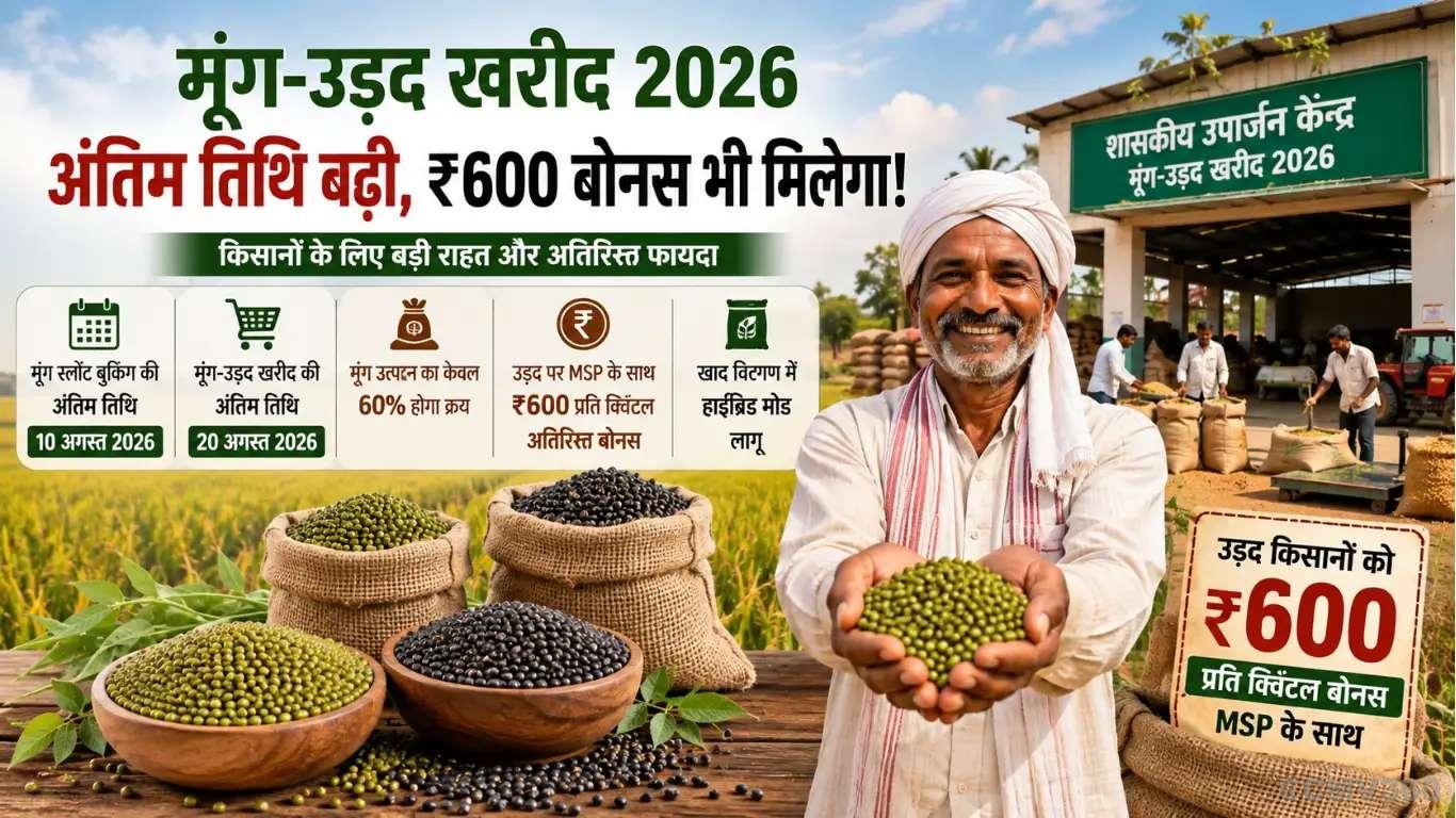 Moong-Urad Procurement 2026: Last Date Extended, Urad Farmers to Get ₹600 Bonus Along with MSP Moong-Urad Procurement 2026: Last Date Extended, Urad Farmers to Get ₹600 Bonus Along with MSP