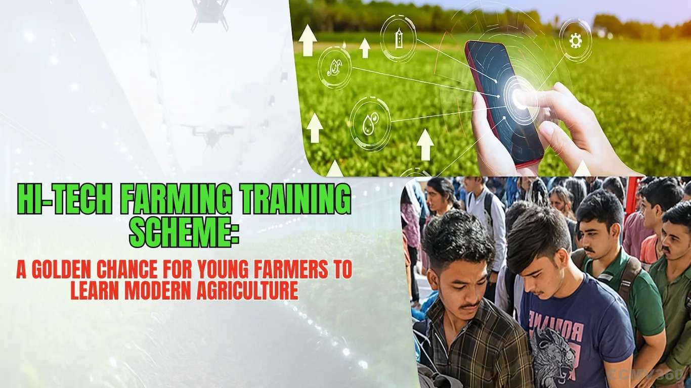 Hi-Tech Farming Training Scheme: A Golden Chance for Young Farmers to Learn Modern Agriculture Hi-Tech Farming Training Scheme: A Golden Chance for Young Farmers to Learn Modern Agriculture