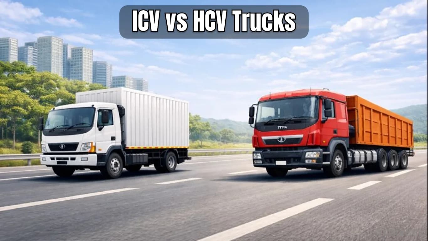 ICV vs HCV