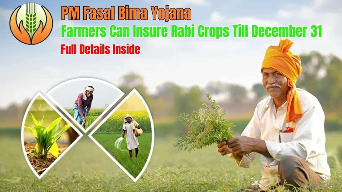 PM Fasal Bima Yojana: Farmers Can Insure Rabi Crops Till December 31 — Full Details Inside PM Fasal Bima Yojana: Farmers Can Insure Rabi Crops Till December 31 — Full Details Inside