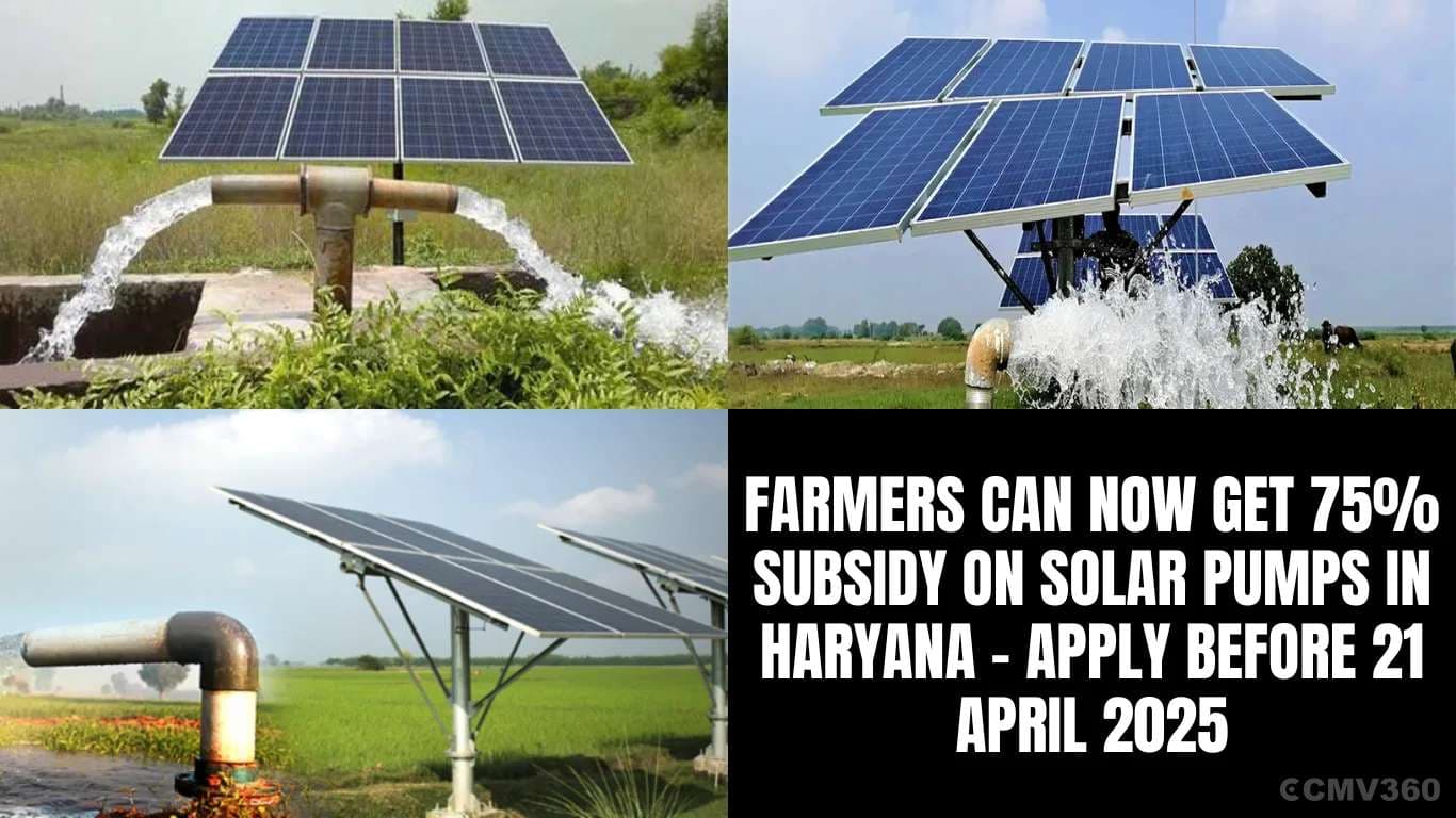 ஹரியானாவில் சூரிய குழாய்களுக்கு விவசாயிகள் இப்போது 75% மானியத்தைப் பெறலாம் - 21 ஏப்ரல் 2025 க்கு முன் Farmers Can Now Get 75% Subsidy on Solar Pumps in Haryana â Apply Before 21 April 2025.webp