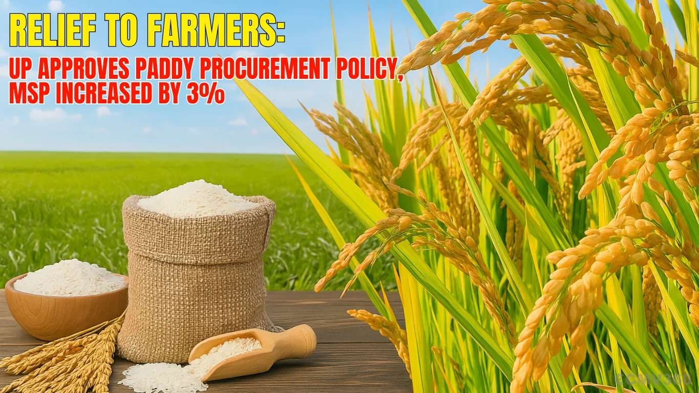 Relief to Farmers: UP Approves Paddy Procurement Policy, MSP Increased by 3% UP Paddy MSP Hiked, Procurement Policy 2025-26 Approved